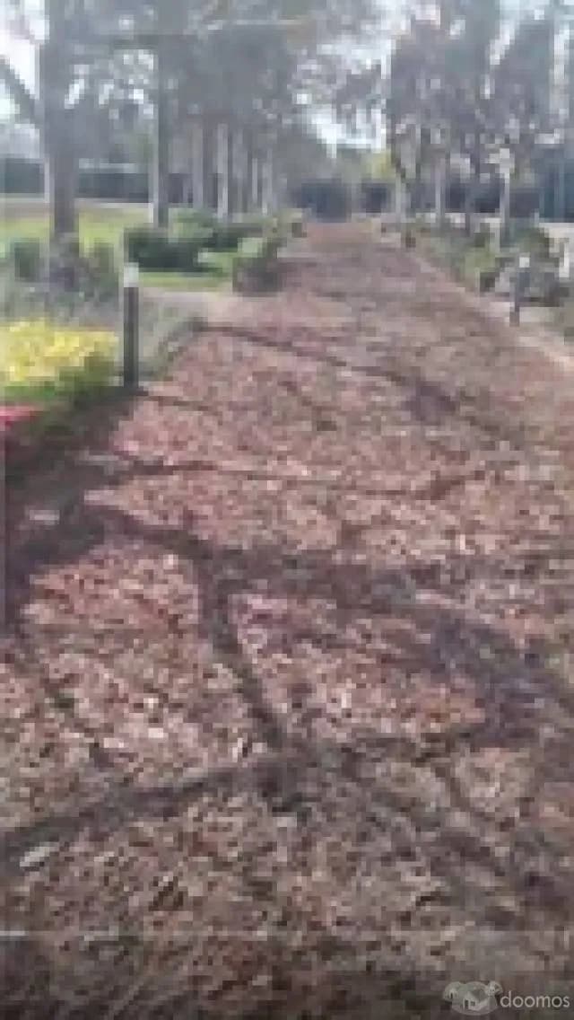 Traspaso terreno de 140.25 m2 muy bien ubicado en Fundo Pradera de Pachacámac - II de Los Portales - 1