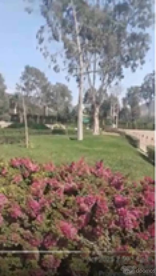 Traspaso terreno de 140.25 m2 muy bien ubicado en Fundo Pradera de Pachacámac - II de Los Portales - 2