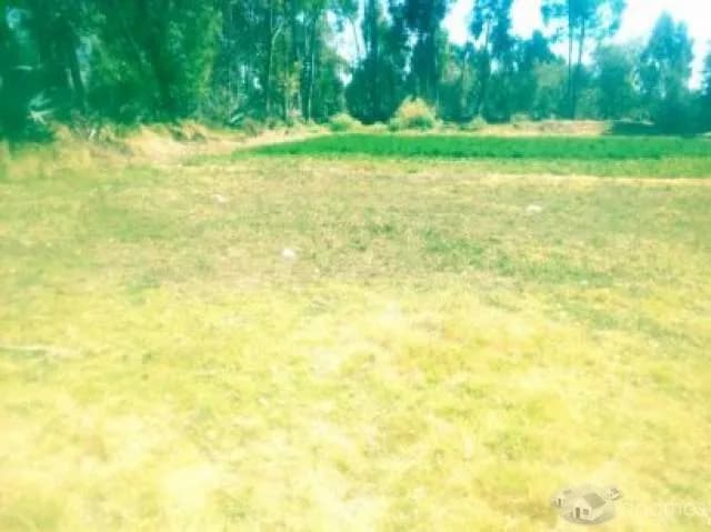 VENTA DE TERRENOS EN ORCOTUNA - 1