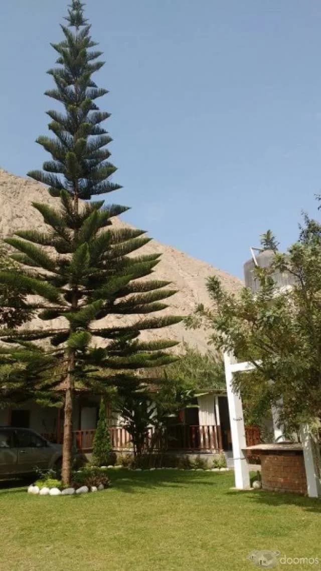 ESPECTACULAR CASA DE CAMPO PARA TODO TIPO DE EVENTOS : MATRIMONIOS,EVENTOS CORPORATIVOS,CUMPLEAÑOS,ETC! - 2