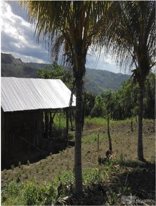 VENTA, 6 Hectáreas IDEAL PARA RETIROS DE CAMPO con 2.5 Hect. DE CACAO - 1