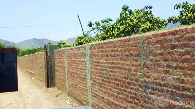 TERRENO para casa de campo 1 HECTÁREA CON FRUTALES DE NÍSPERO Y MANDARINA - 1