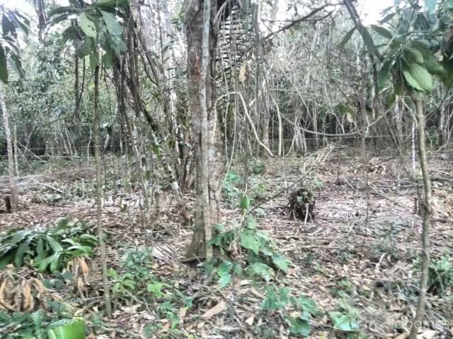 Terreno en alquiler - Tarapoto, Banda de Shilcayo - 1