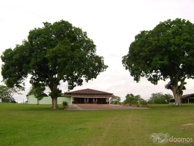 Venta Terreno Pucallpa: Fundo Villa Iris - 1