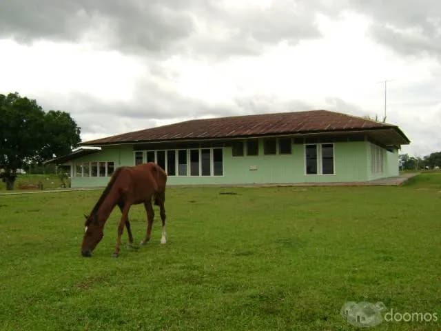 Venta Terreno Pucallpa: Fundo Villa Iris - 2