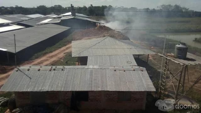 FABRICA DE LADRILLOS EN VENTA - EN PLENA PRODUCCION - FABRICAS E INDUSTRIAS - 1