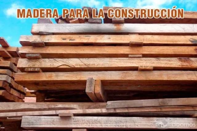 Pallets de madera para exportación,cajas de madera , madera para construcción y más. - 2