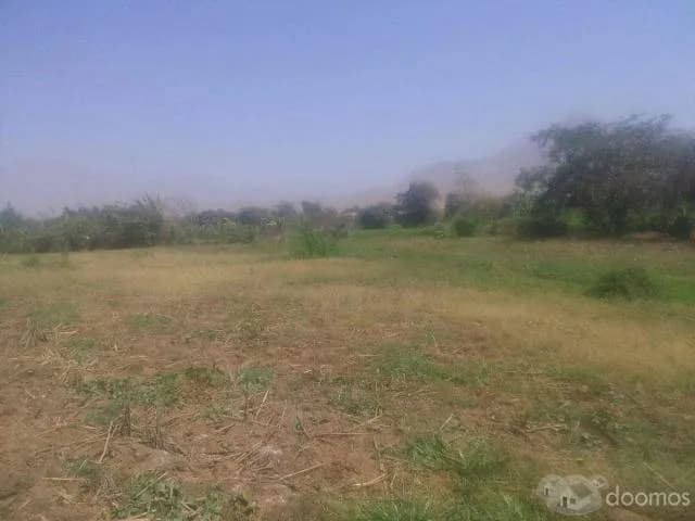 VENTA DE TERRENO DE 5900M2 EN LAREDO-BARRAZA - 2