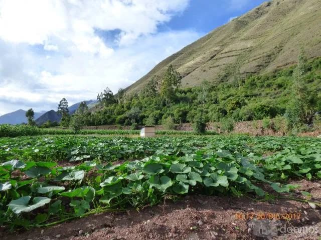vendo terreno en cusco - 1