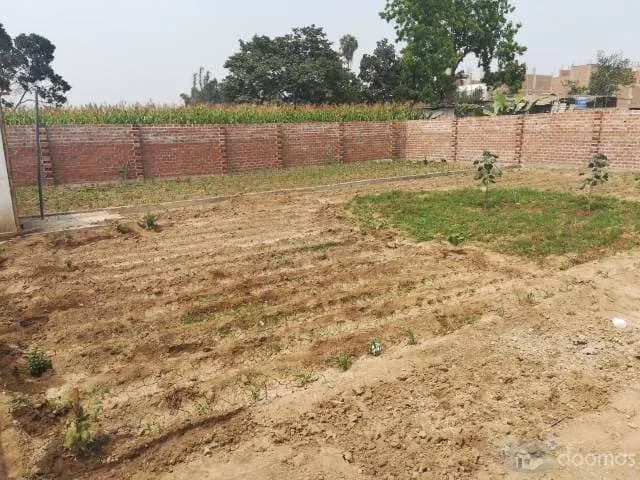 Transfiero Terreno 136 m2 Zona Residencial Carabayllo - 1