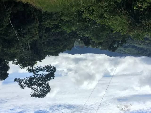 Hermoso Terreno en Tarapoto - 2