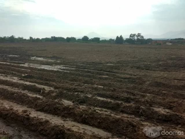 VENDO TERRENO EN CONACHE - LAREDO - 2