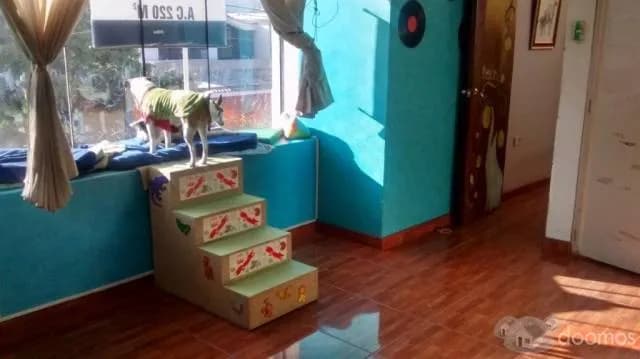 Espaciosa y cóomoda casa en venta en Arequipa - 1