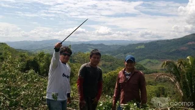 TERRENO EN LAMAS - 1