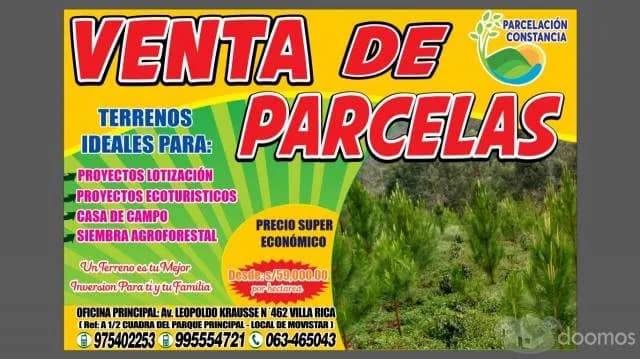 OCASIÓN DE VENTA, PARCELAS A PARTIR DE UNA HECTÁREA A 3 MINUTOS DE VILLA RICA - 1
