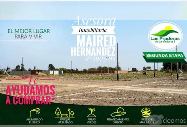 El proyecto perfecto , Lotes de inversion - 1