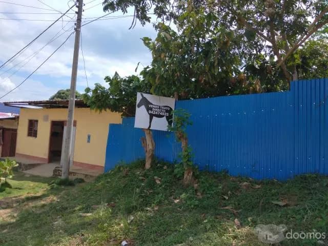 TERRENO EN LUGAR SEGURO AGUA, LUZ Y DESAGÜE EN LAMAS. - 1
