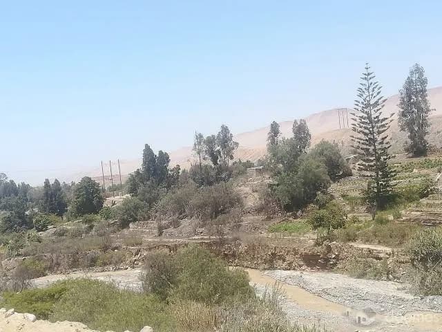 TERRENO PARA CASA DE CAMPO-FRENTE A CALIENTES - TACNA - 1