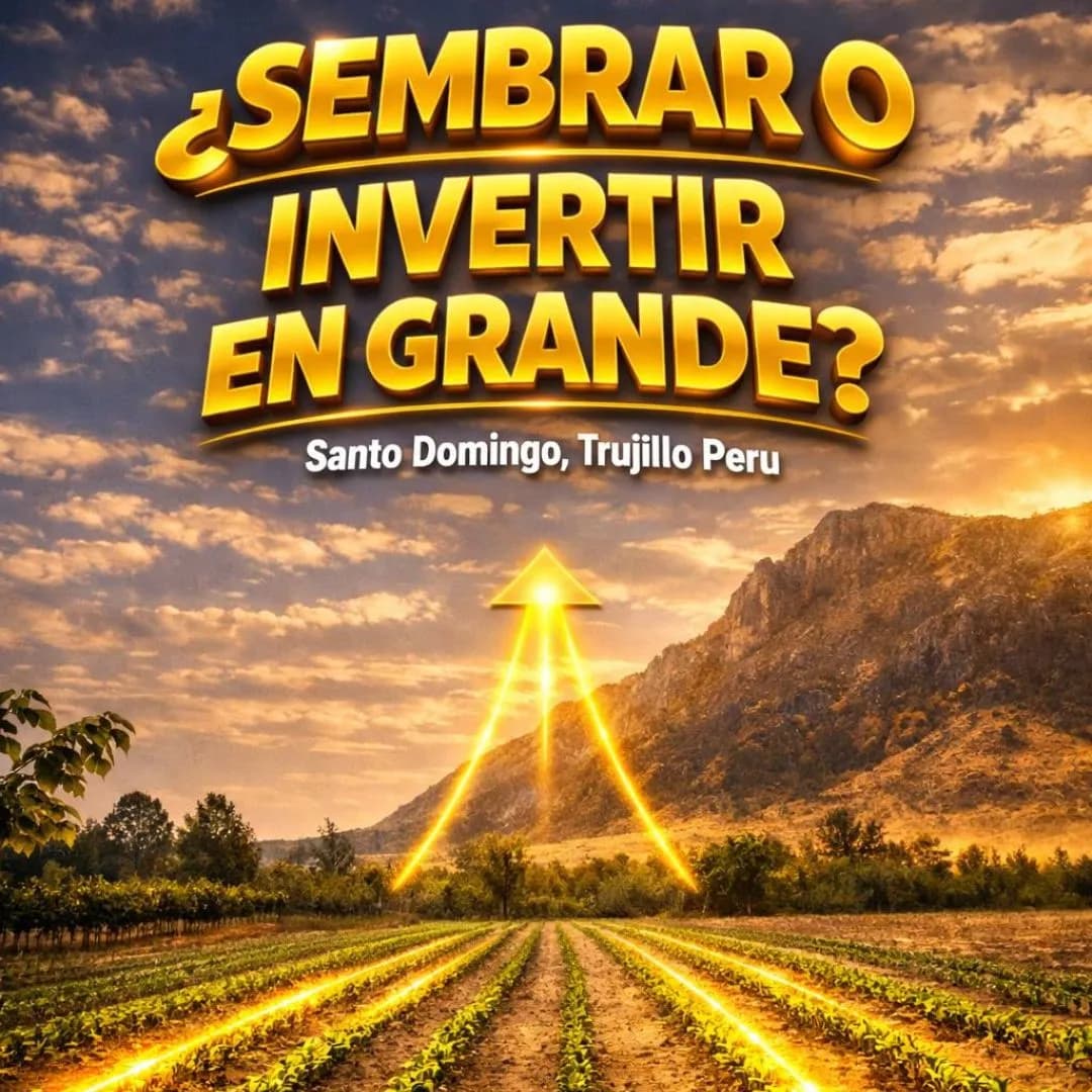 5 Y 15 HECTÁREAS EN VENTA – LAREDO, TRUJILLO - 1