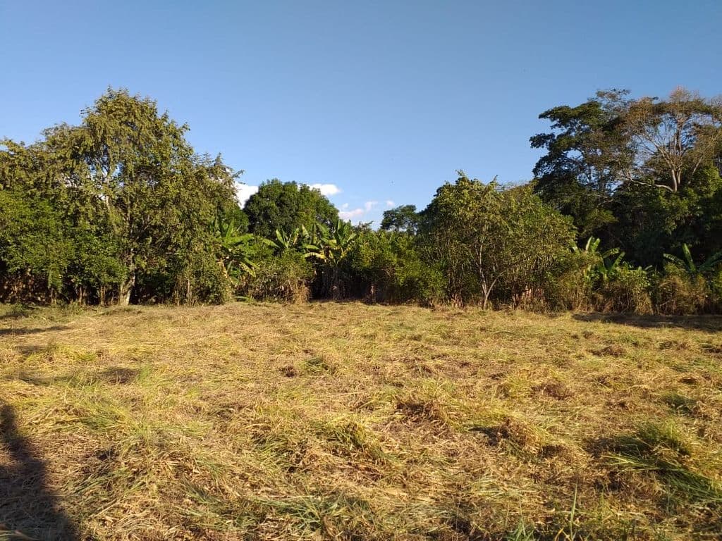 SE VENDE AMPLIO TERRENO RODEADO DE NATURALEZA Y CERCA DEL - 1