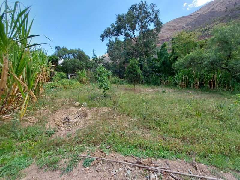 VENDO HERMOSO TERRENO DE 2414.56 M2 EN TOMAY KICHWA EN - 1