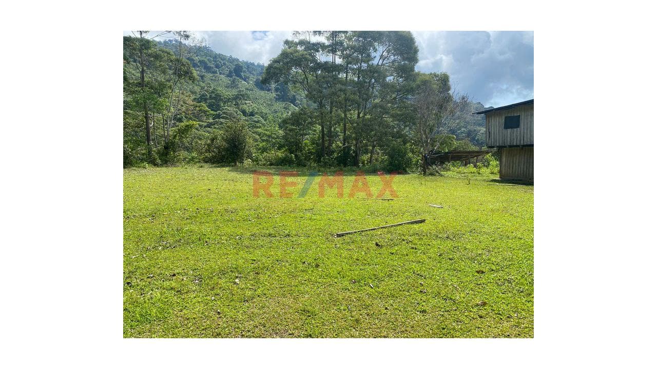 INVERSIONISTAS GRAN OPORTUNIDAD EN UNA EXCELENTE ZONA AGRICOLA - 2