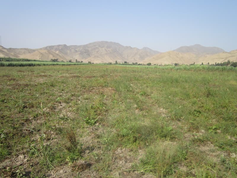 venta terreno agrícola - 1