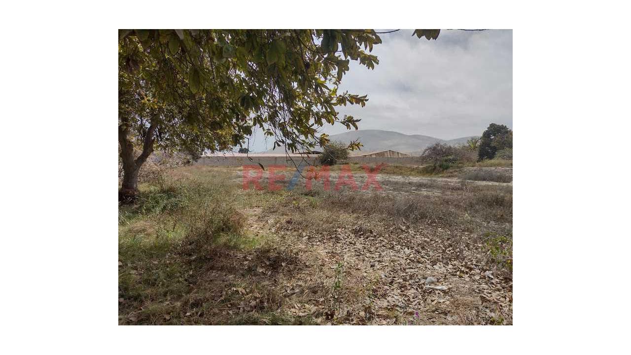 SE VENDE AMPLIO TERRENO PARA INVERSIÓN - CAMANÁ - 2
