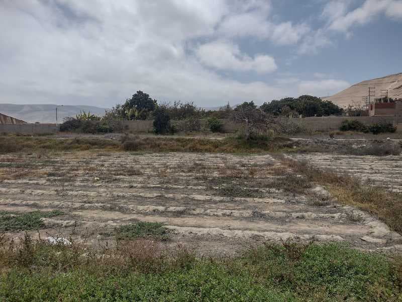 SE VENDE AMPLIO TERRENO PARA INVERSIÓN - CAMANÁ - 1