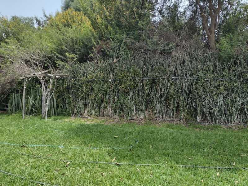 SE VENDE TERRENO EN LA MEJOR ZONA PARA VIVIR EN - 1