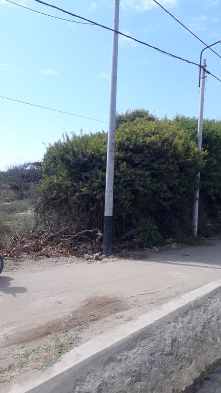 SE VENDE TERRENO URBANO EN MOCHE - 1