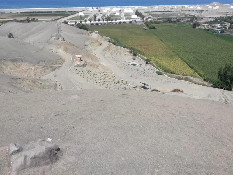 REMATE DE TERRENO AGRÍCOLA - CERRO AZUL - 1