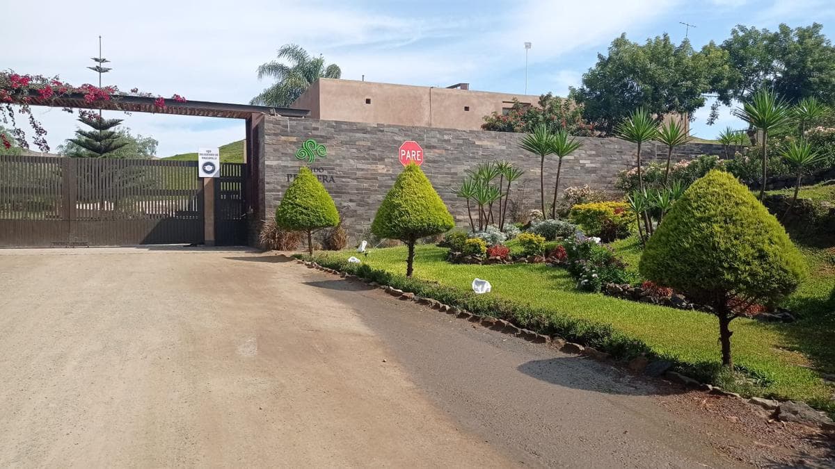 Terreno - CAÑETE - 2