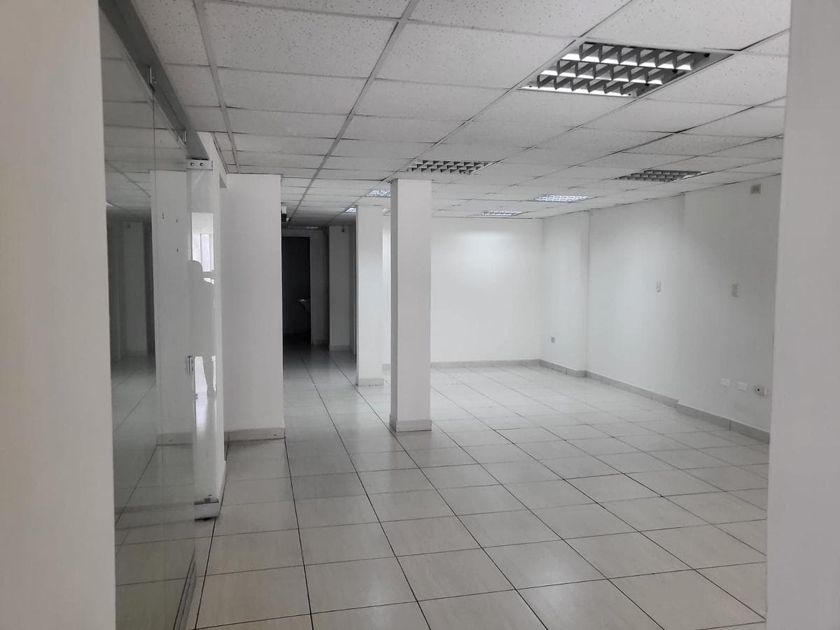 Local - San Luis - 1