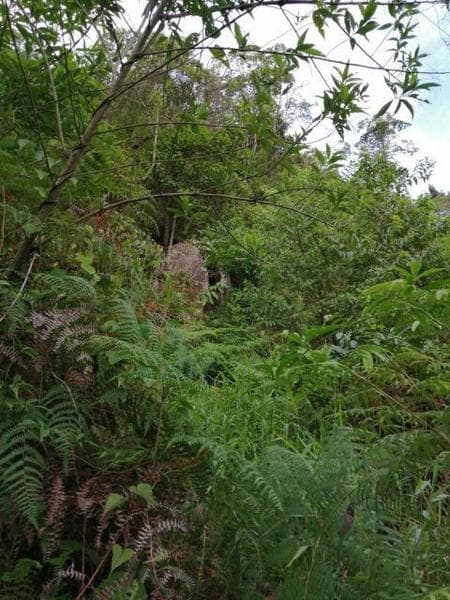 VENTA RECREO TURISTICO VILLA RICA - 2