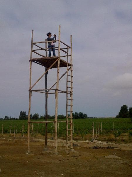 Campo - San Clemente - 2