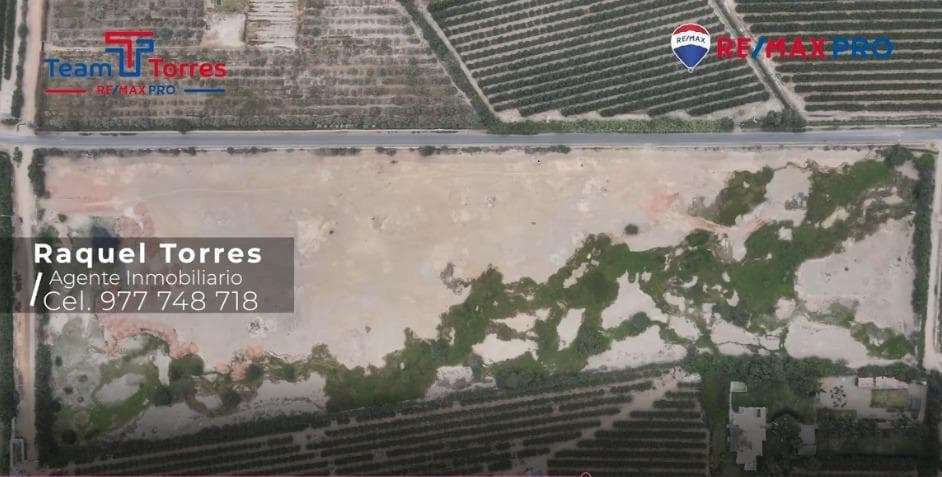 ¡SE VENDE TERRENO de 7.98 Ha UC 06280, ALTO LARAN, FUNDO LA SEMILLA, CHINCHA! - 2