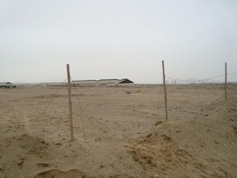 Terreno en Venta o Alquiler en Lurin - 2