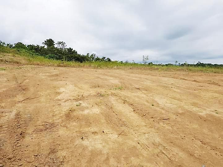 Terreno Industrial en venta - 1.8 Ha - Panameriana Norte - 1