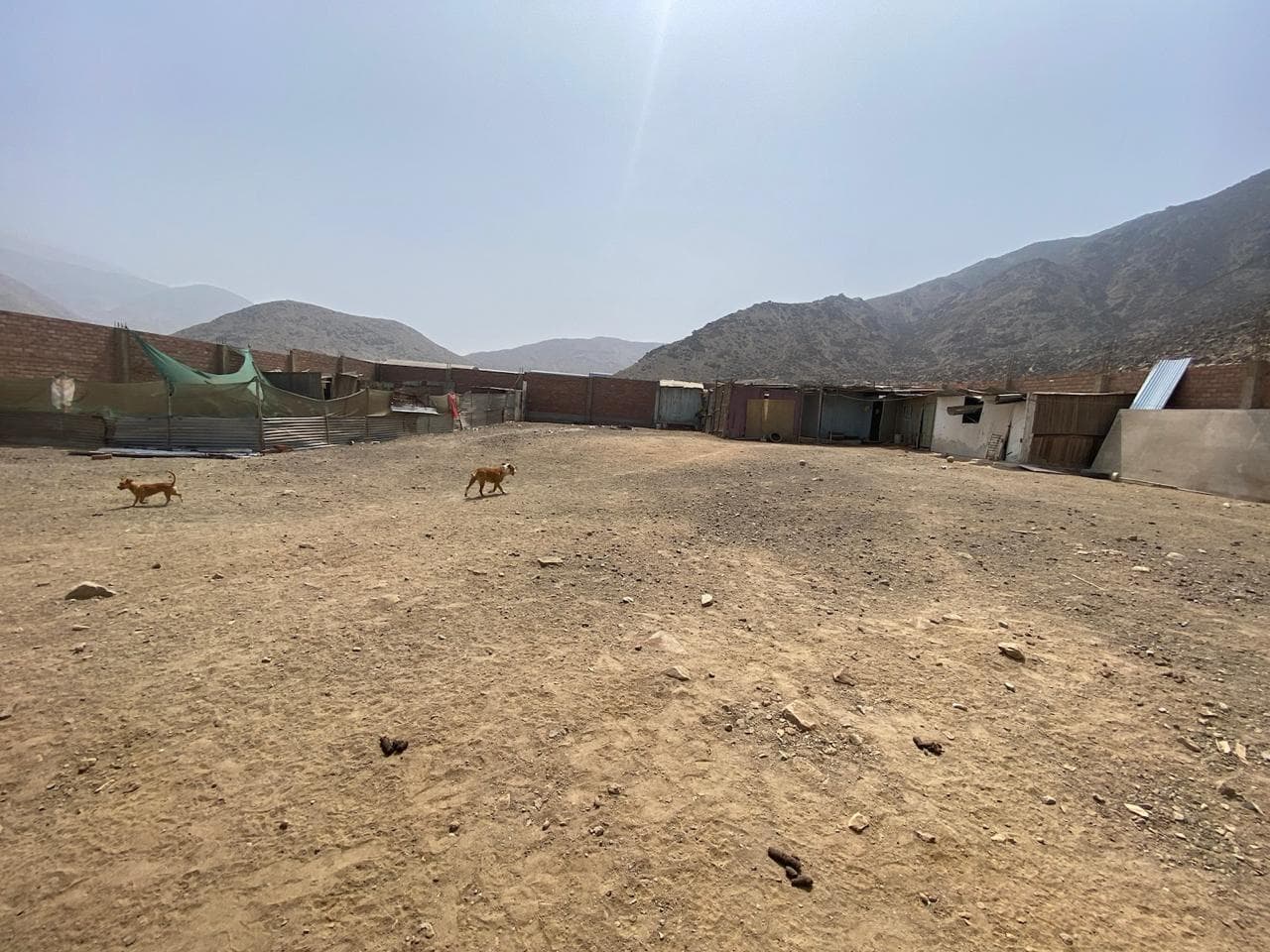 Terreno a la Venta en Pachacamac Comunidad Campesina Collanac - 1