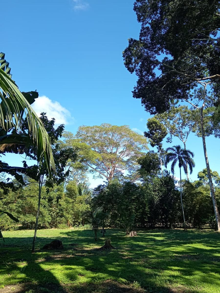 Terreno en Venta en Puerto Maldonado - 1