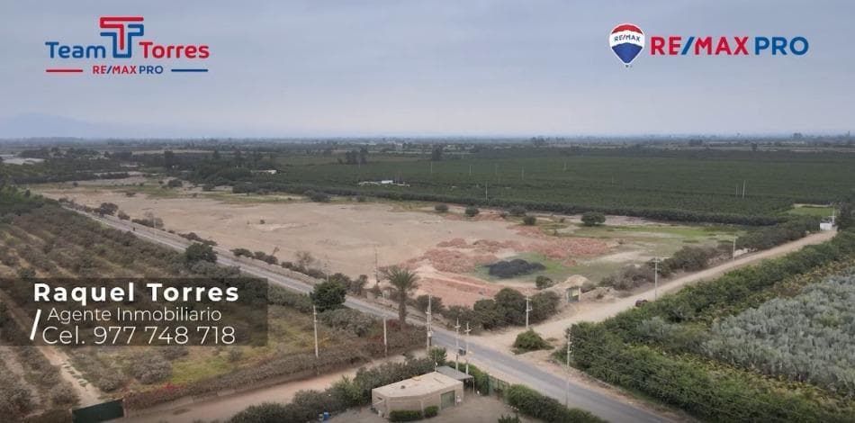 ¡SE VENDE TERRENO de 7.98 Ha UC 06280, ALTO LARAN, FUNDO LA SEMILLA, CHINCHA! - 1