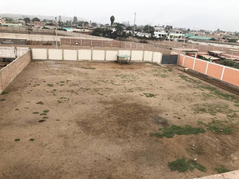 Alquilo terreno ubicado a la cuadra 2 de la Av. Manuel Valle en Lurín 115356 - 2