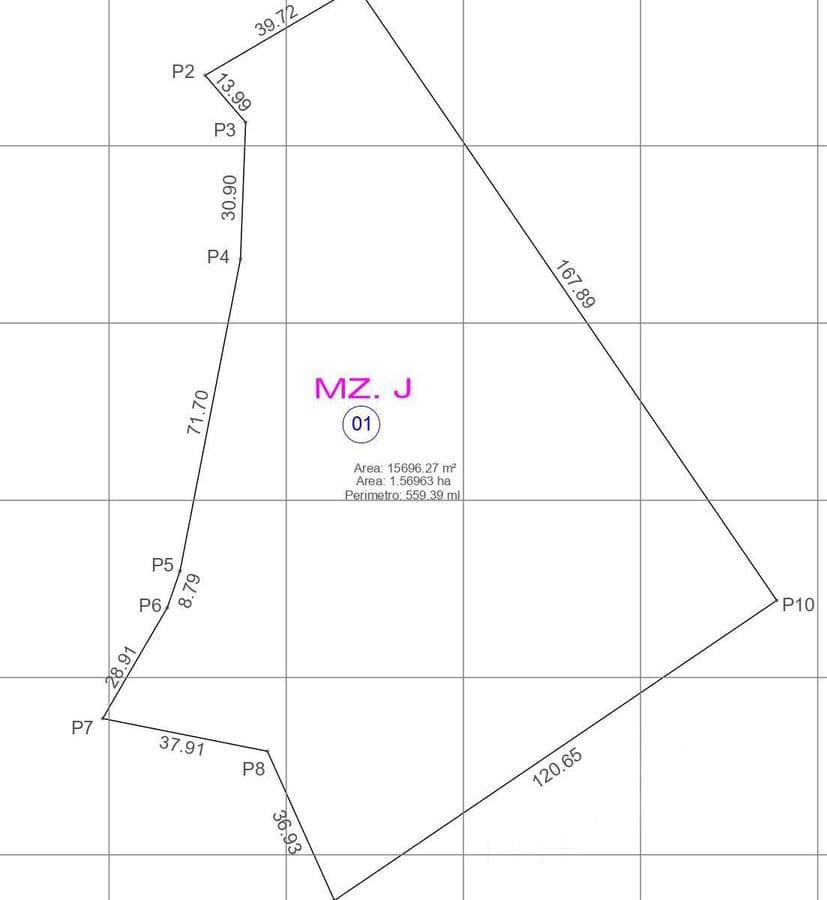 TERRENO EN ZONA ESTRATÉGICA EN PUNTA NEGRA DENTRO DE UN PARQUE INDUSTRIAL - 2