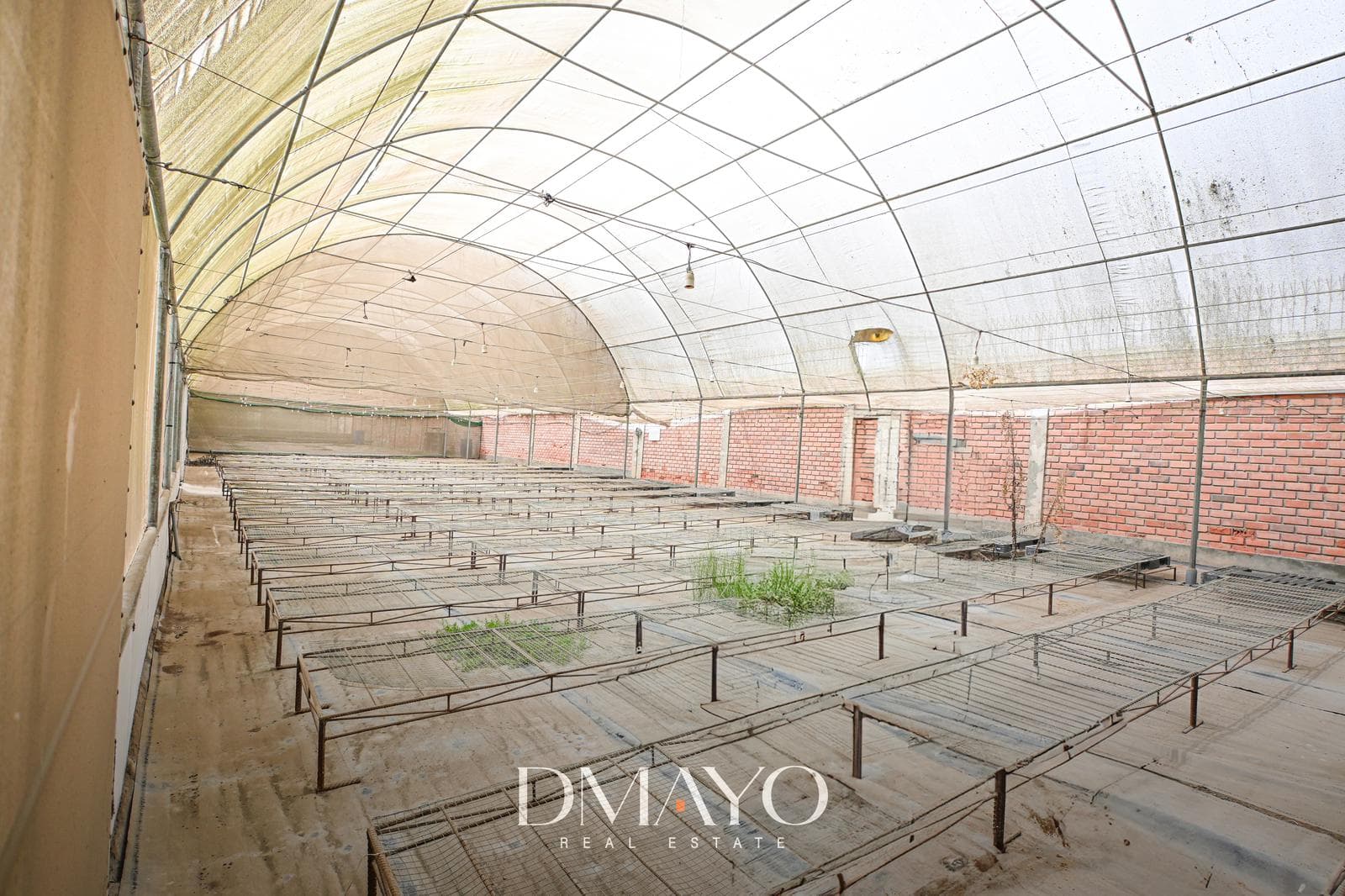 Venta Oportunidad de Inversión: Terreno de 16 HT con Casa, Pozo de Agua y Vivero en Pachacamac - 1