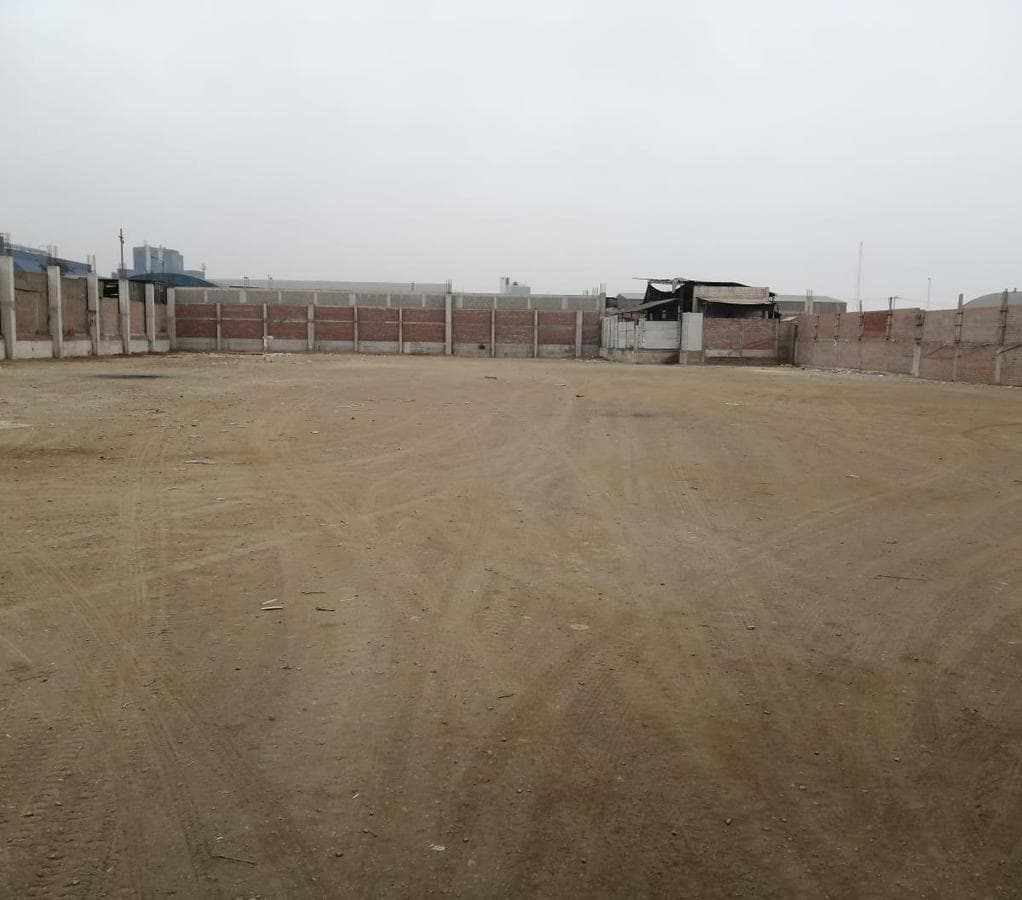 Terreno Industrial en Alquiler - Av. Los Eucaliptos - Lurín - 1