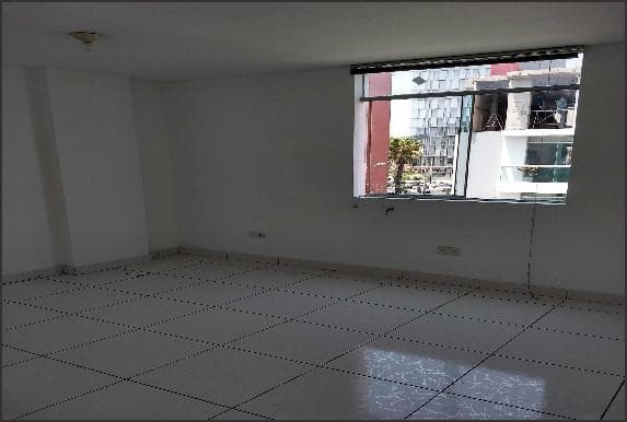 Local - San Isidro - 2