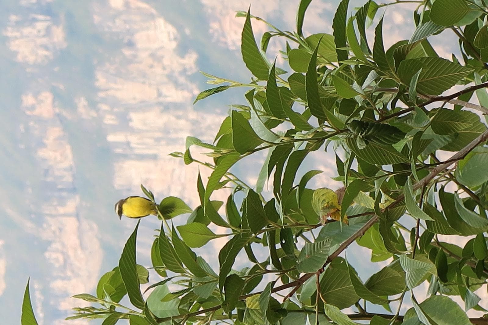 Terreno en AMAZONAS - 2