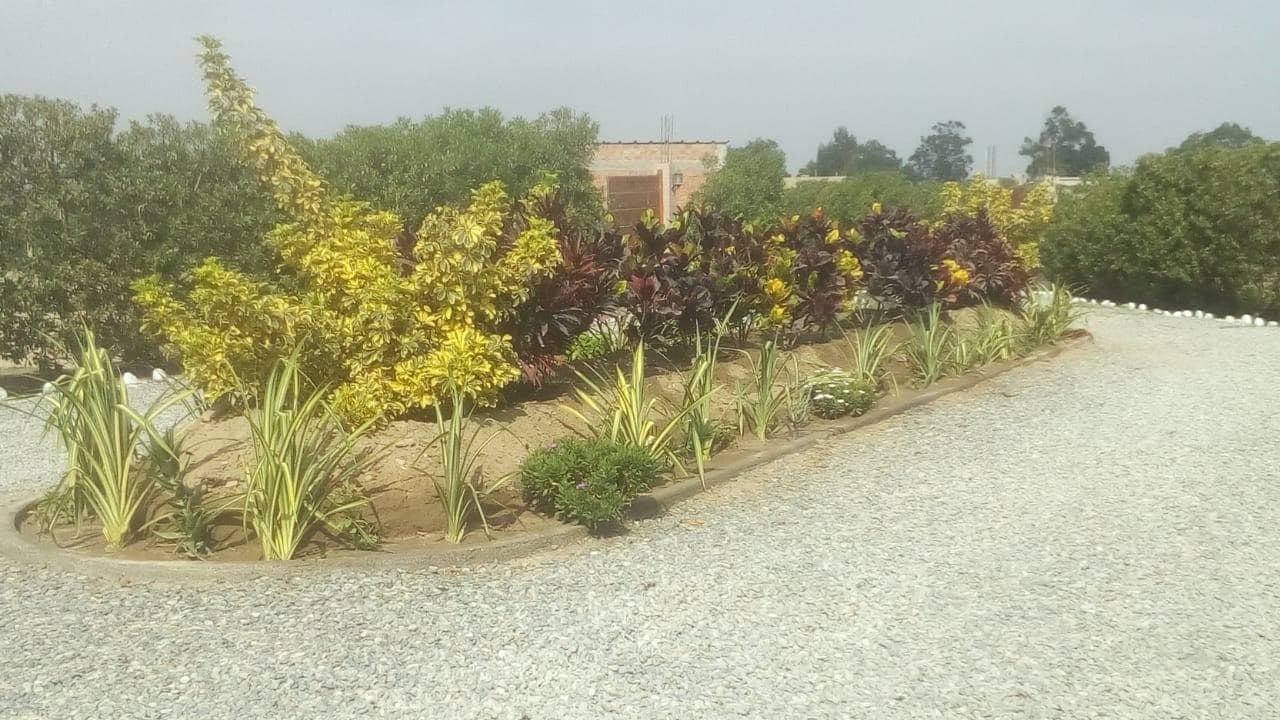 Terreno en Condominio LA ROMANA, El Carmen de 877,235 m2 - 2