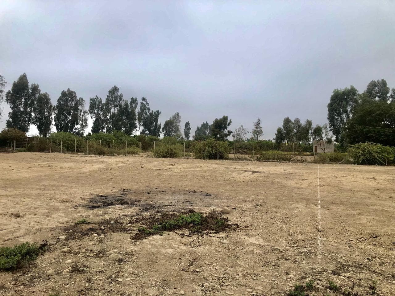 Venta de Terreno en Chincha Cond. Rio Chico - 2000m2 - Agua - energía Eléctrica - Segur. 24/7 - 2